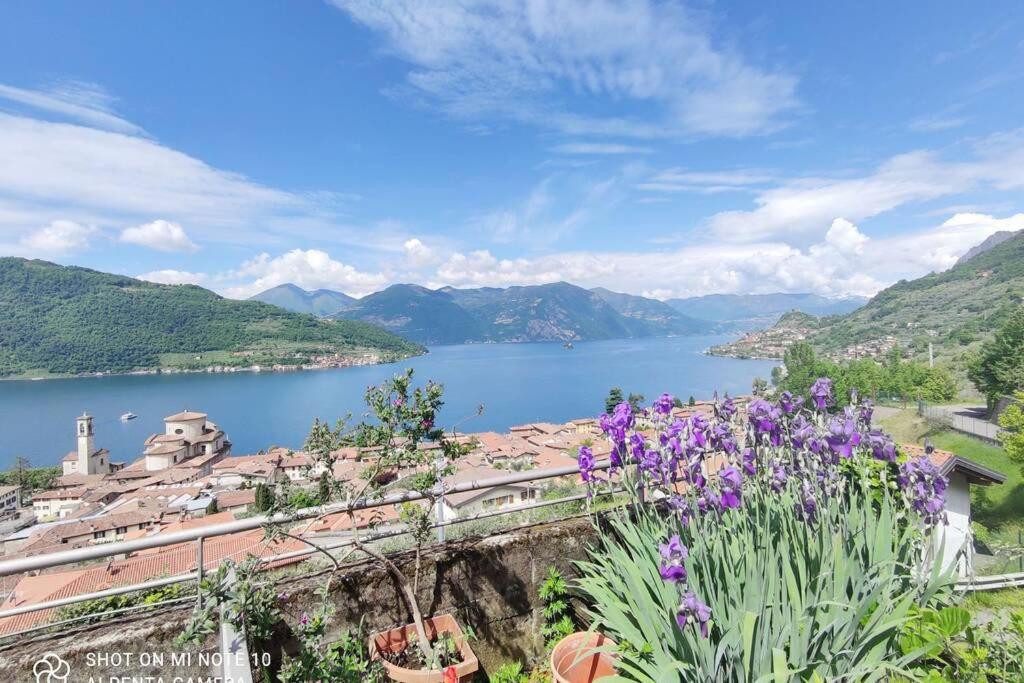 Gioiello Sul Lago D'Iseo 塞里马拉西诺 外观 照片